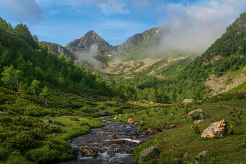 View of the Malaya Dukka River against the backdrop of the mountains of the North Caucasus on a sunny summer day, Arkhyz, Karachay-Cherkessia, Russia © Ula Ulachka