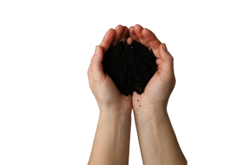Gardening, Hands cup dark soil, ideal for indoor planting in small spaces, isolated on white, PNG