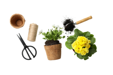 Gardening tools and bright flowers displayed on a white background, isolated on white, PNG