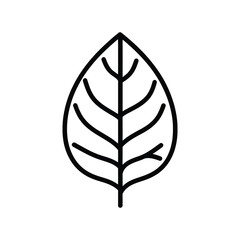 Leaf outline icons, nature minimalist vector illustration ,simple transparent graphic element .Isolated on white background