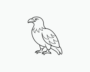 Eagle Coloring Page Bird of Prey Line Art for Educational Use