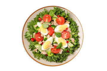 PNG salad with tuna in a ceramic plate, isolated on white background.