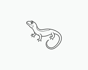 Lizard Coloring Page Reptile Line Drawing for Fun Coloring