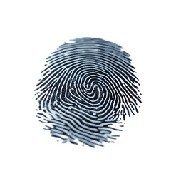 Fingerprint-ID-Unique-Identify-Identity-Forensic