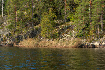 View of the rocky shores of Lake Ladoga near the village of Lumivaara on a sunny autumn day, Ladoga Skerries, Lahdenpohya, Republic of Karelia, Russia