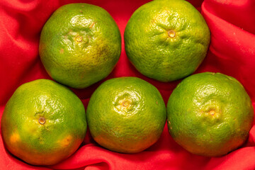 A wicker basket filled with fresh mandarins, attractively arranged on a wooden surface. Natural light highlights the orange hues and texture of the fruit.