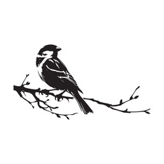 An elegant black and white sparrow bird silhouette perched on a branch. A stylized, black and white vector graphic of a sparrow perched on a branch.