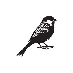 An elegant black and white sparrow bird silhouette perched on a branch. A stylized, black and white vector graphic of a sparrow perched on a branch.