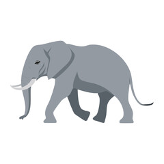 Walking Elephant Silhouette