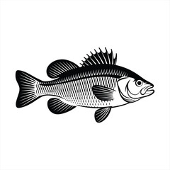 Detailed Black Silhouette Vector of Fish with Scales and Fins in Side Profile Illustration

