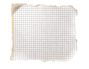 Torn paper with distressed edges and a textured perfect scrapbook note isolated cut out on transparent png