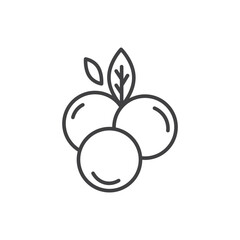 Blueberry icons vector icon design. modern flat and line design