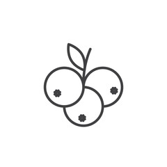 Blueberry icons vector icon design. modern flat and line design