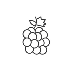 Grape icons vector icon design. modern flat and line design