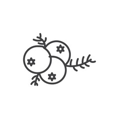 Juniper icons vector icon design. modern flat and line design