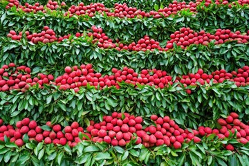 Obraz premium Lush red fruit on branches