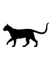 Obraz premium Black and White Cat Silhouette – Minimalist Animal Art Illustration