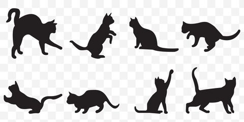 cat vector silhouettes. Exotic shorthair cat silhouette vector template illustration on Transparent Background. EPS 10.