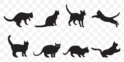 cat vector silhouettes. Exotic shorthair cat silhouette vector template illustration on Transparent Background. EPS 10.