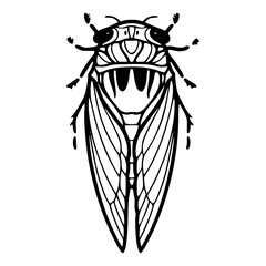 elegant cicada insect decorative design © Zen20