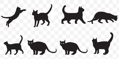 cat vector silhouettes. Exotic shorthair cat silhouette vector template illustration on Transparent Background. EPS 10.