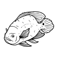 swimming fish clipart drawing