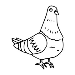 city bird line art
