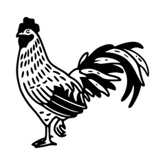 ornate chicken vector graphic design