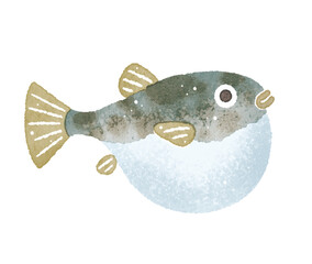 ふぐ　フグ　魚　水彩イラスト © hoim