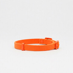 dog Orange wristband isolated on white background front view