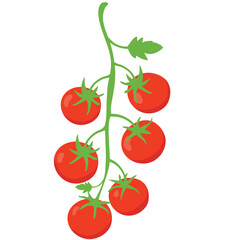 red tomatoes isolated on white background