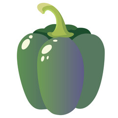 vector illustration of an green bell pepper