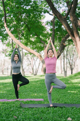 Two beauty woman doing yoga on morning park, Yoga training strong woman best friends