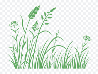 Vector green grass silhouette with wild meadow plants and field herbs in nature-inspired illustration, ideal for eco designs, spring themes, farm scenes, and environmental concept art.