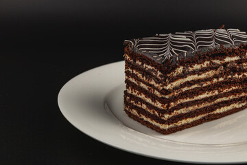 Chocolate layer cake served on a white plate