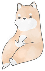 Shiba Inu sitting facing left