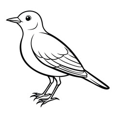 Obraz premium Simple Bird Sketch Vector Art on White Background