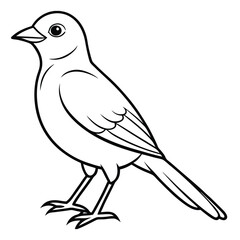 Obraz premium Hand Drawn Bird Vector Illustration Isolated on White