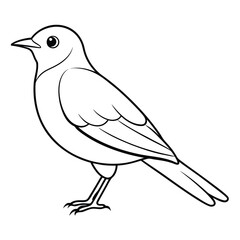 Fototapeta premium Hand Drawn Bird Vector Illustration Isolated on White