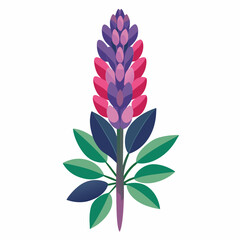 pink flower isolated on white background