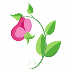 green leaf isolated on white