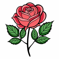 red rose isolated on white