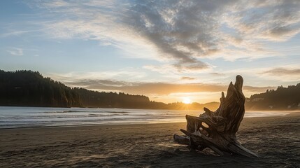 Fototapeta premium Driftwood sculpture at sunset on a sandy beach.