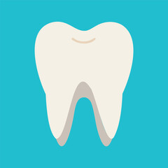 Vector illustration of white tooth, simple design