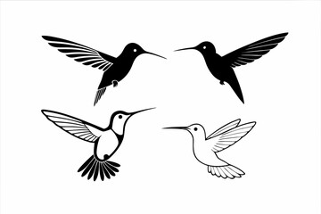 Obraz premium set of hummingbird vector silhouette illustration isolated on white background