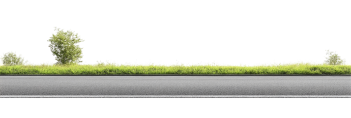 Lush Greenery Alongside a Quiet Road, Perfect for Nature Walks and Scenic Drives on transparent background