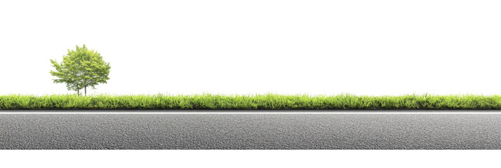 Serene roadside view with a lush green tree and vibrant grass along a smooth asphalt path under clear skies on transparent background