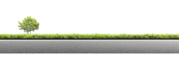Serene roadside view with a lush green tree and vibrant grass along a smooth asphalt path under clear skies on transparent background
