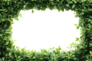 Lush Greenery Frame for Natural and Elegant Designs on transparent background