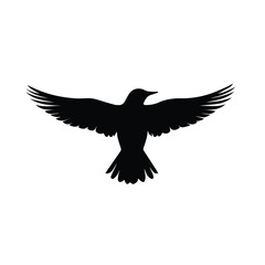 flying bird black silhouette 